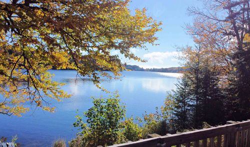 1003 Devils Hill Rd, Peacham, VT, 05862 | Card Image