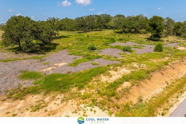 View of local wilderness | Image 20