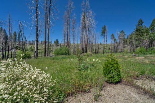 7425 Winding Way, Grizzly Flats, CA, 95636-9789 | Card Image