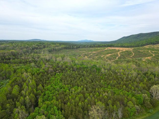 DJI_0588 | Image 4