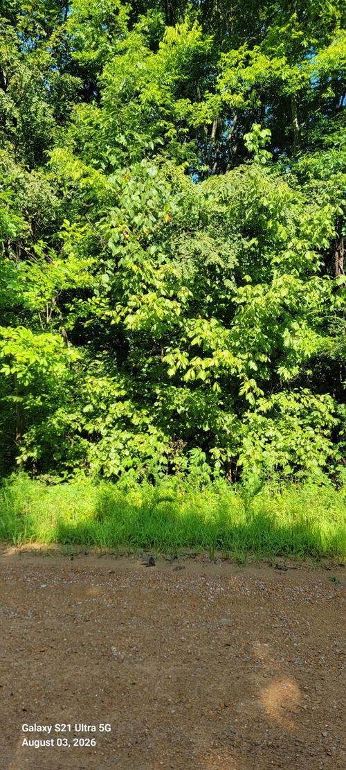 4625 Old Woodville Rd, Kevil, KY, 42053 | Card Image