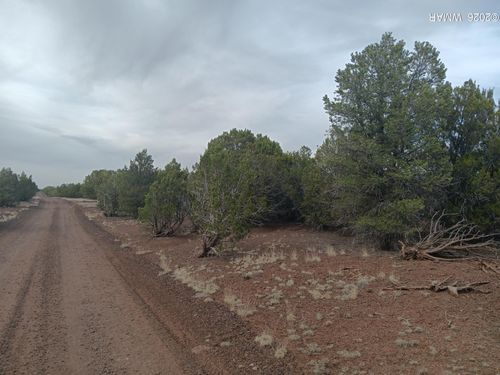 TBD 2 Concho Hwy, Concho, AZ, 85924 | Card Image