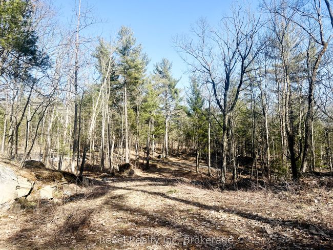 88 Louisa St, Home with 0 bedrooms, 0 bathrooms and null parking in Parry Sound ON | Image 10