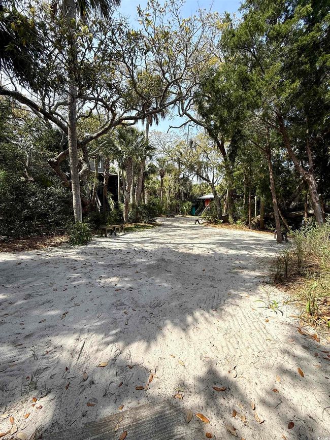 View of yard | Image 39