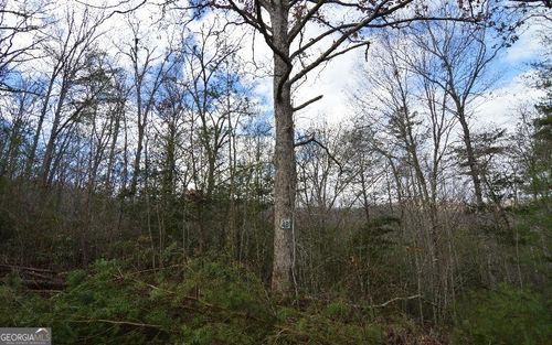 LOT 48 Laurel Way, Blairsville, GA, 30512-3376 | Card Image