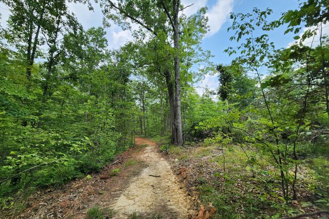 TRACT-3 - 0 Back Run Rd, Home with 0 bedrooms, 0 bathrooms and null parking in Philo OH | Image 24