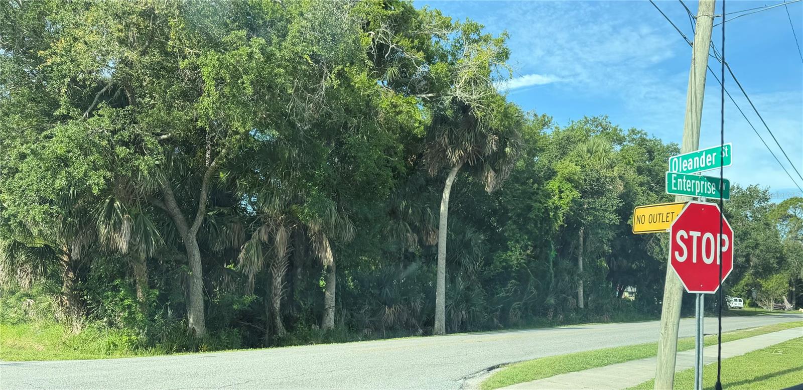 Land in NEW SMYRNA BEACH