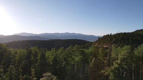 142 Beaver Loop, Angel Fire, NM, 87710 | Card Image