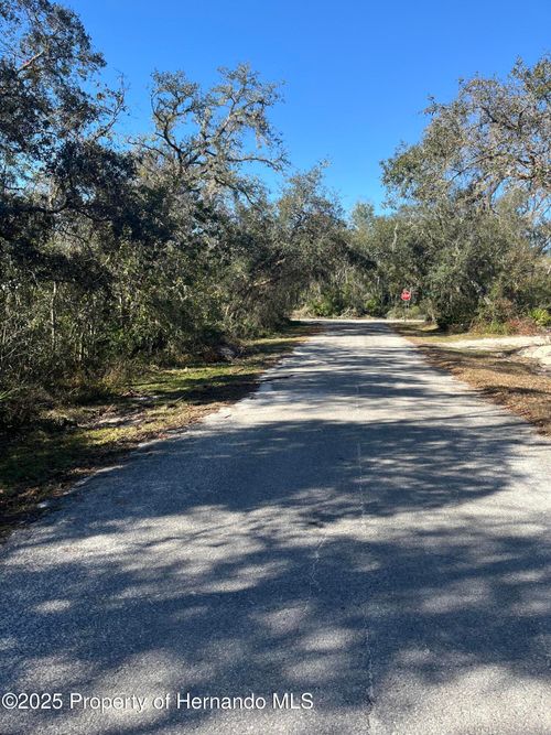 0 Excalibur Rd, WEBSTER, FL, 33597 | Card Image