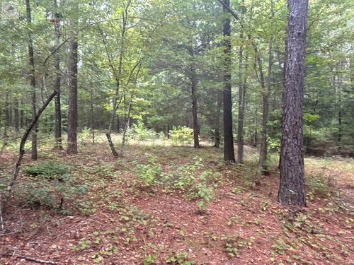 TBD County Road 1131, Linden, TX, 75563 | Card Image