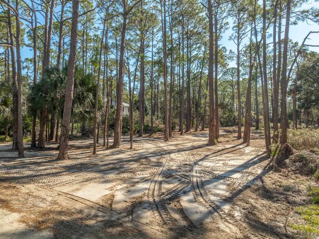 160 Harbor Cir, Home with 0 bedrooms, 0 bathrooms and null parking in ALLIGATOR POINT FL | Image 23