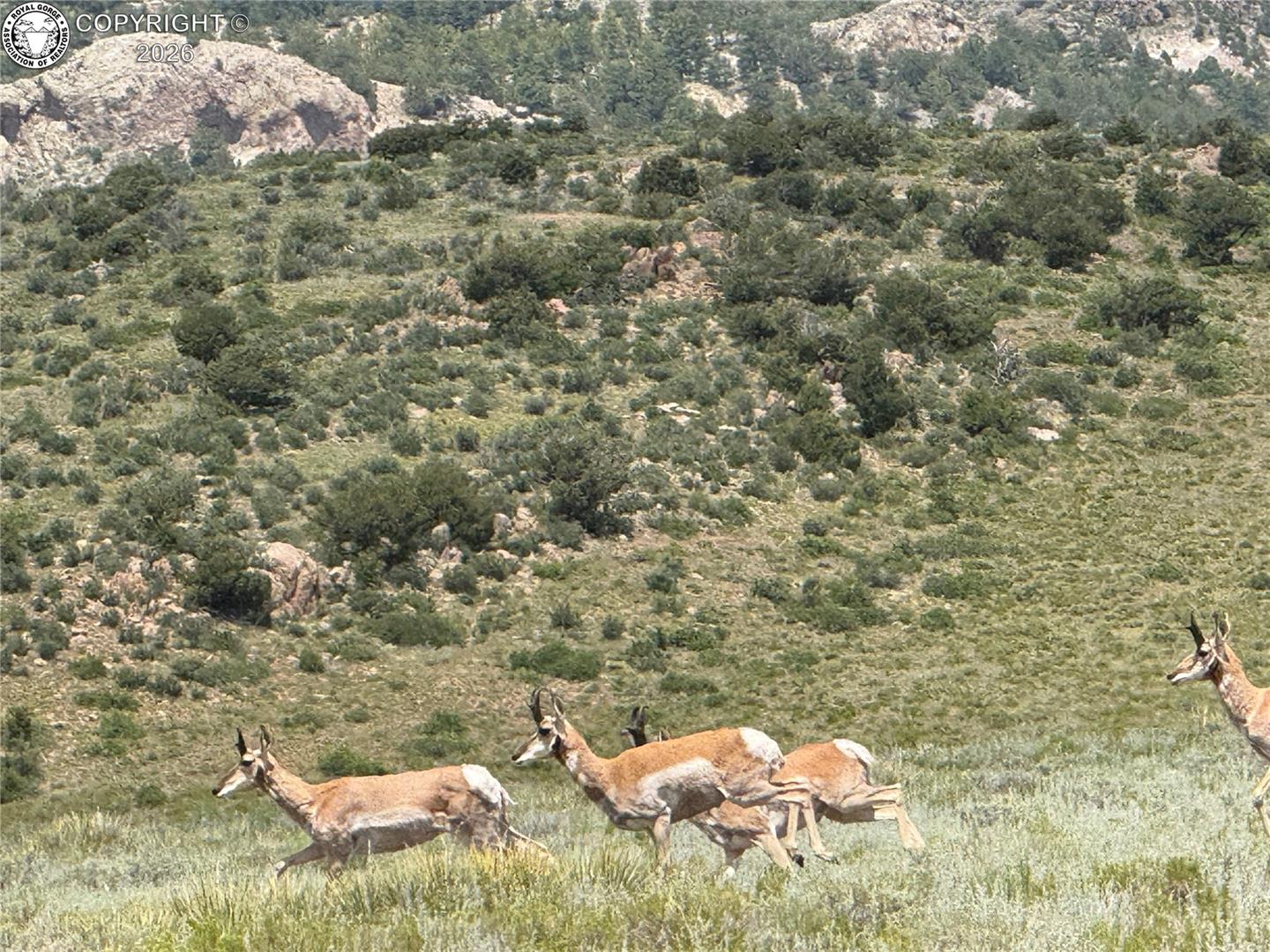 Land in Westcliffe