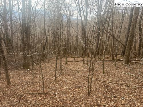 TBD Rainbow Rdg, Zionville, NC, 28698 | Card Image