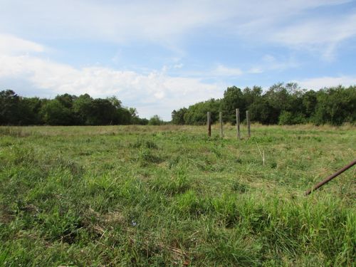 Tr 1 N Metzletein Road, Billings, MO, 65610 | Card Image