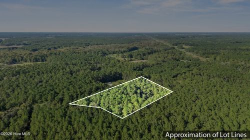 0 Near Wright Way Rd, Burgaw, NC, 28425 | Card Image