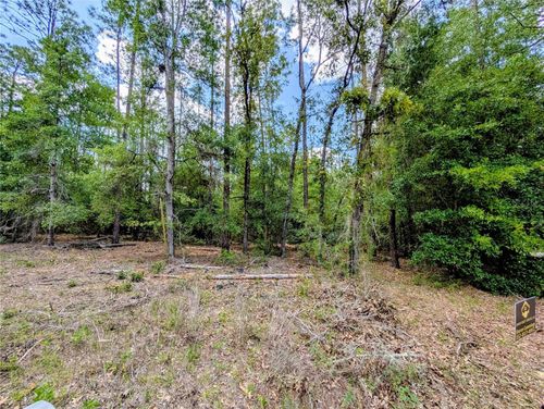 TBD Sw 93rd Lane Rd, DUNNELLON, FL, 34432 | Card Image