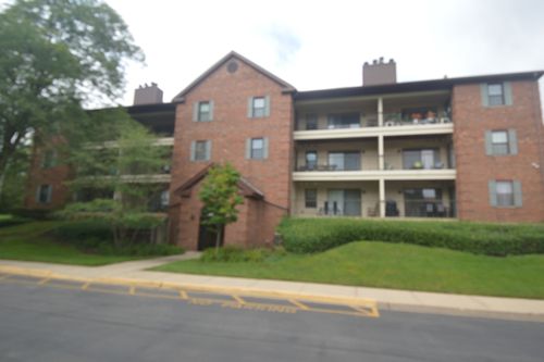 204-651 Hapsfield Ln, Buffalo Grove, IL, 60089-4708 | Card Image