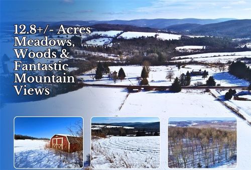 Lot 41-42 Hamden Hill Rd, Hamden, NY, 13782-1608 | Card Image