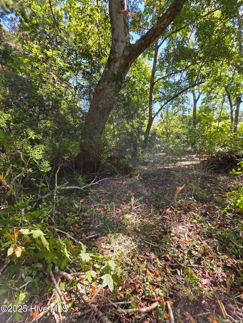 20 W High Bluff Dr, Hampstead, NC, 28443 | Card Image