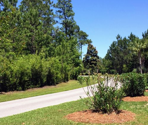 Lot 71 Harbour Trce E, Freeport, FL, 32439-2916 | Card Image