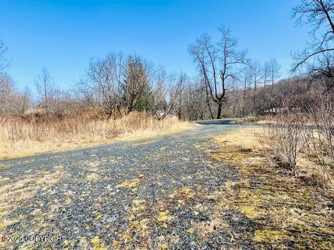 Exterior Driveway (6) | Image 24