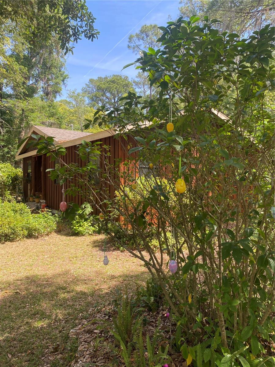 Residential in GAINESVILLE 2