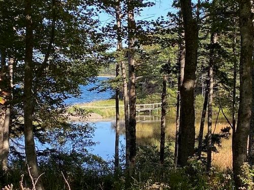 Lot 4 Macleods Pond Road, Roberta, NS, B0E3B0 | Card Image