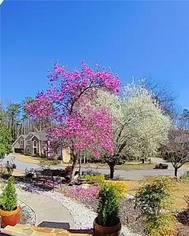 1206 Camden Hunt Dr, House other with 5 bedrooms, 3 bathrooms and 2 parking in Lawrenceville GA | Image 37