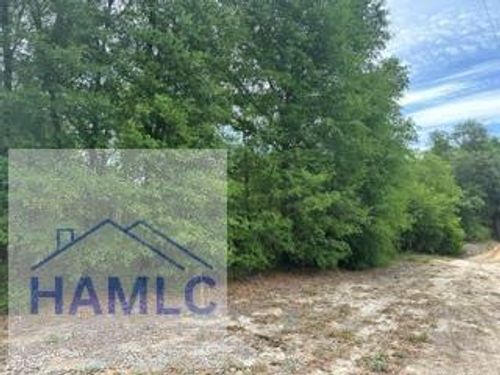 4.55 Ac River Ridge Rd, Reidsville, GA, 30453 | Card Image