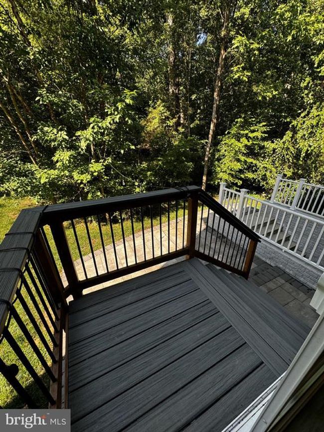 102 Monroe St, House other with 4 bedrooms, 3 bathrooms and null parking in LOCUST GROVE VA | Image 29