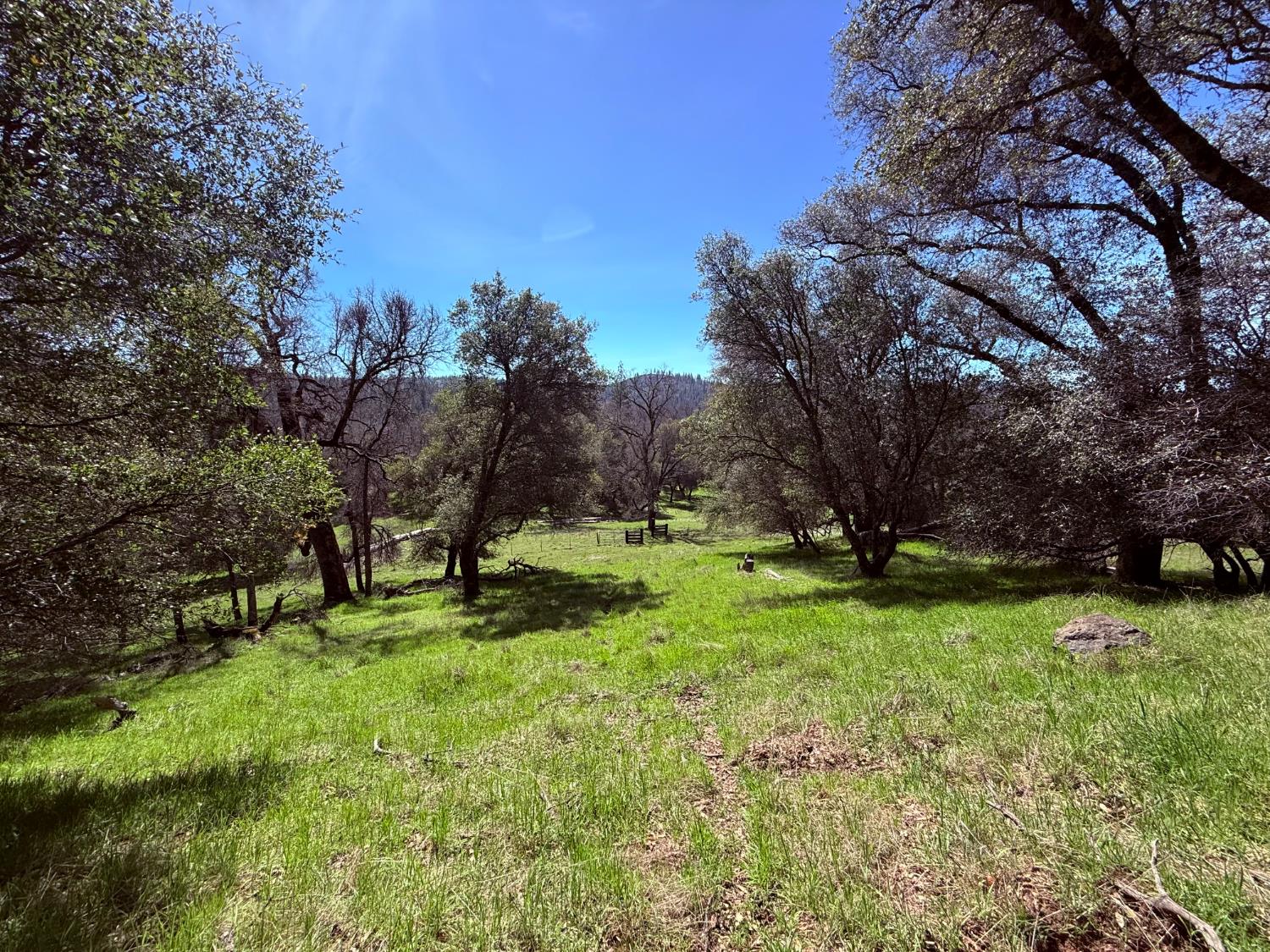 Land in Fiddletown 3