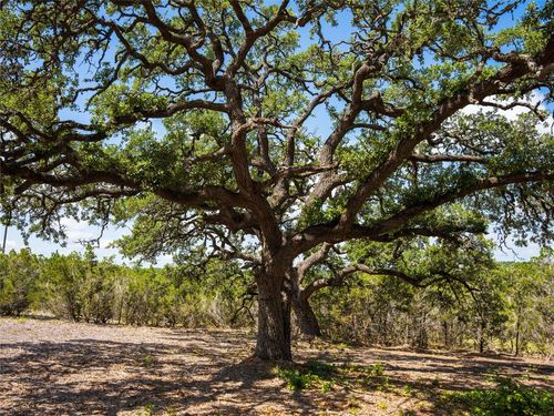 000 Heritage Forest Pkwy, Dripping Springs, TX, 78620 | Card Image