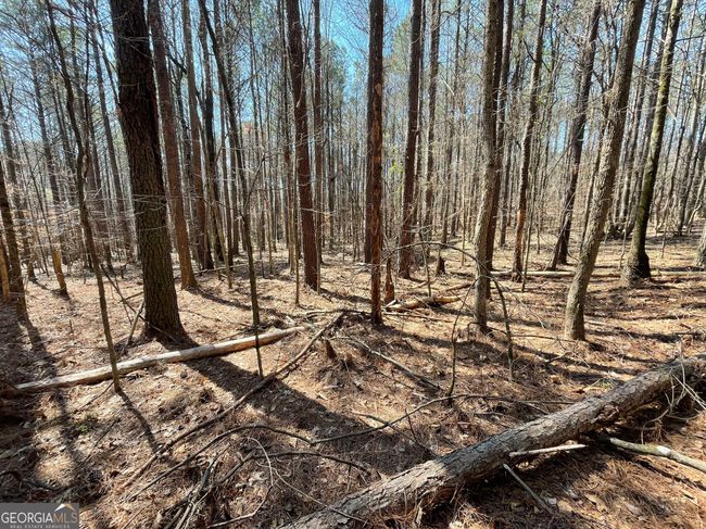 2 - 0 Joe Cook Rd, Home with 0 bedrooms, 0 bathrooms and null parking in Franklin GA | Image 7