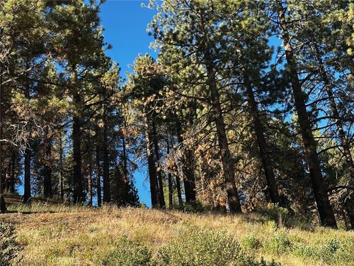 1 Conway Dr Drive, Running Springs, CA, 92382 | Card Image