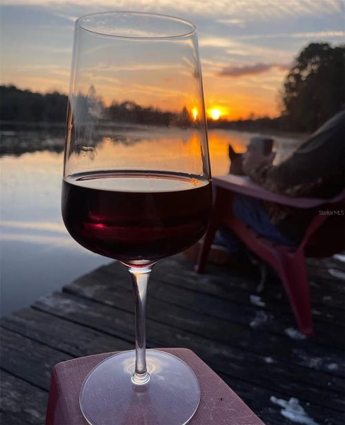 14730 Se 61st Street Rd, Ocklawaha, FL, 32179-2771 | Card Image