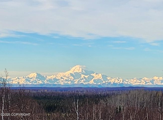 Denali Oct 6th | Image 63