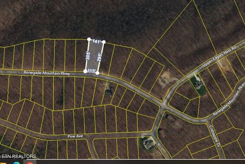  Lot 317 Renegade Mountain Pkwy, Crab Orchard, TN, 37723 | Card Image