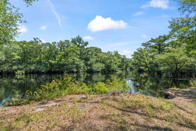 Water view featuring a heavily wooded area | Image 25