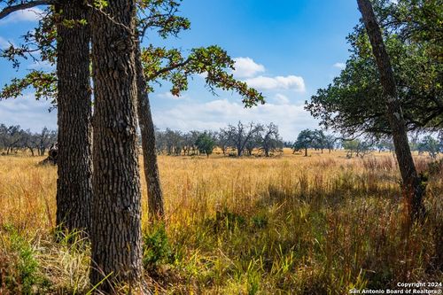 LOT 12 Turn Out Lane, Harper, TX, 78631 | Card Image
