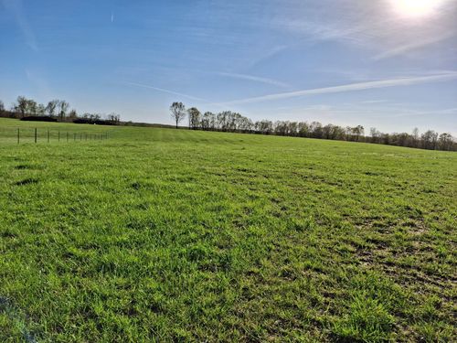 000 Hall Rd, Macomb, MO, 65702 | Card Image