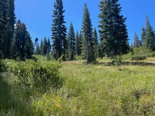000-big-creek-rd-000 E Main St, Quincy, CA, 95971 | Card Image