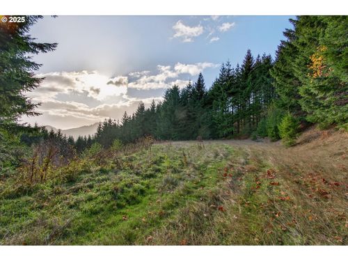 0 Knights Bridge Rd, AMBOY, WA, 98601 | Card Image