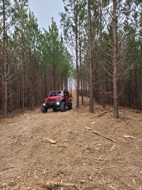 230 Juniper Dr, Linden, TN, 37096-2114 | Card Image