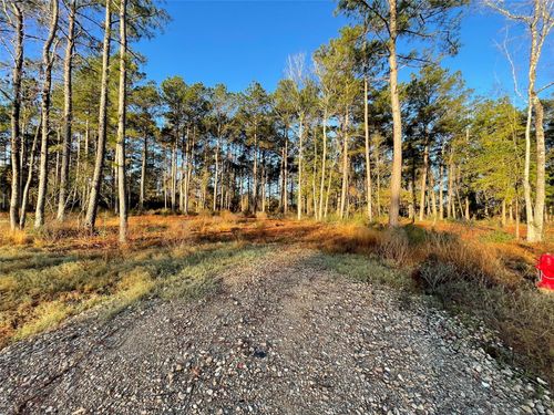 11303 Annie Creek Drive, Willis, TX, 77378 | Card Image