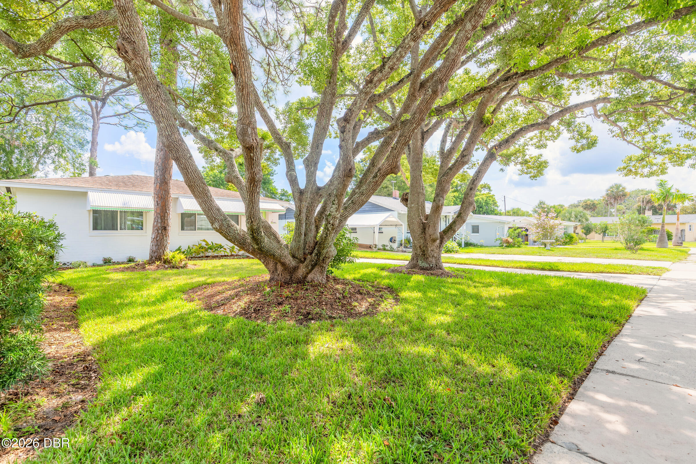 Residential in Ormond Beach 3