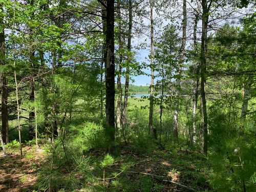 Lot 1 Somo Ridge Dr, Tomahawk, WI, 54487-9028 | Card Image
