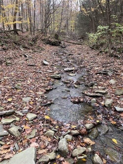 0 Parker Rd, Campbell, NY, 14821 | Card Image