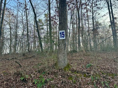 Lot 15 Hensley Rd, East Bernstadt, KY, 40729-7001 | Card Image