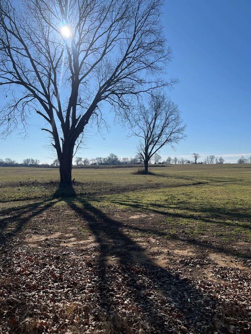 0 Oil Mill Rd, Covington, TN, 38019 | Card Image