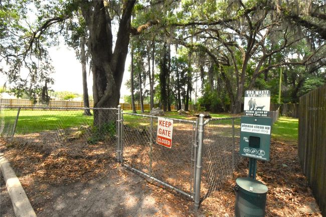 Park Area | Image 35